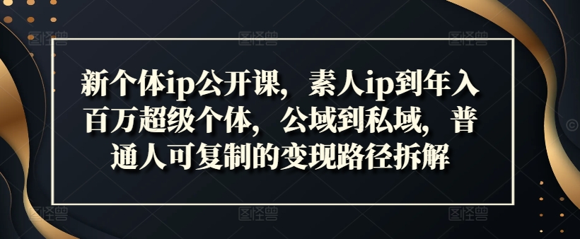 新个体ip公开课，素人ip到年入百万超级个体，公域到私域，普通人可复制的变现路径拆解-一点通资源网