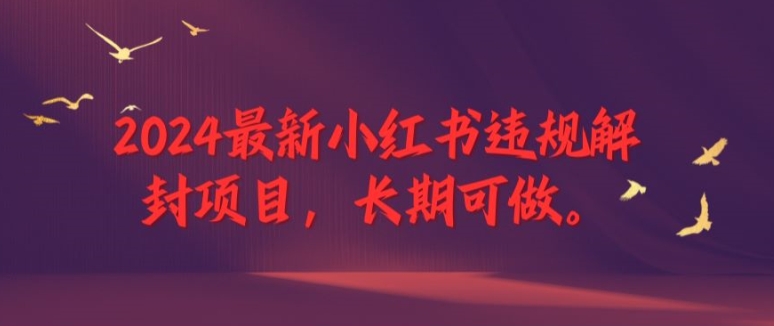 2024最新小红书违规解封项目，长期可做，一个可以做到退休的项目【揭秘】-一点通资源网