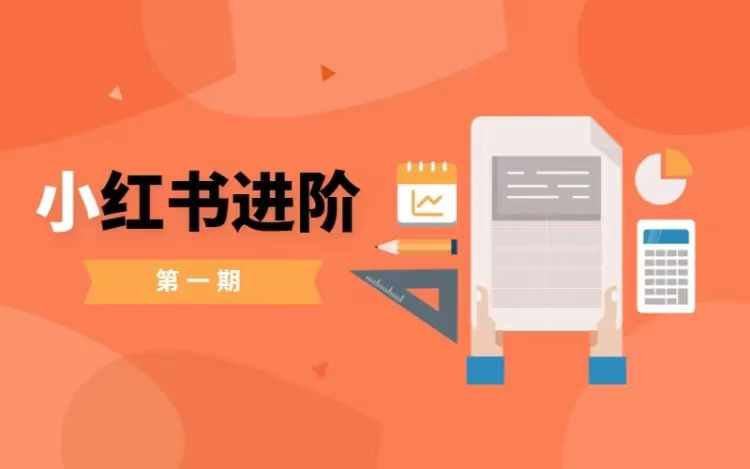 小红书进阶篇，零基础小白实战课，普通人变现的课程-一点通资源网