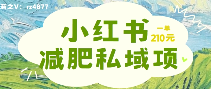 小红书减肥粉，私域变现项目，一单就达210元，小白也能轻松上手【揭秘】-一点通资源网
