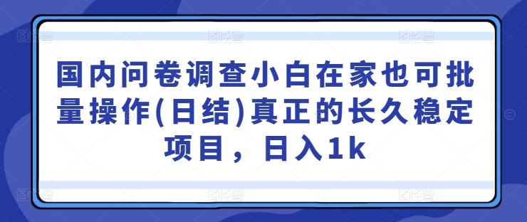 国内问卷调查小白在家也可批量操作(日结)真正的长久稳定项目，日入1k【揭秘】-一点通资源网