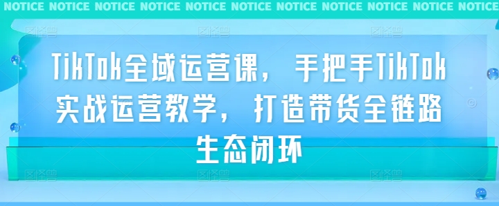 TikTok全域运营课，手把手TikTok实战运营教学，打造带货全链路生态闭环-一点通资源网