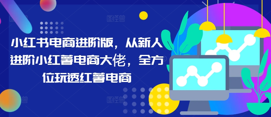 小红书电商进阶版，从新人进阶小红薯电商大佬，全方位玩透红薯电商-一点通资源网