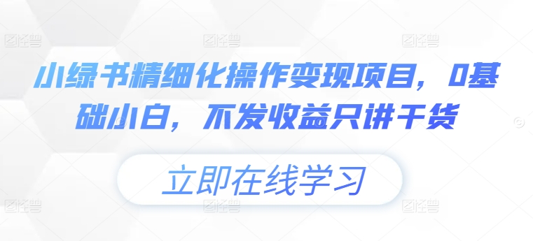 小绿书精细化操作变现项目，0基础小白，不发收益只讲干货-一点通资源网