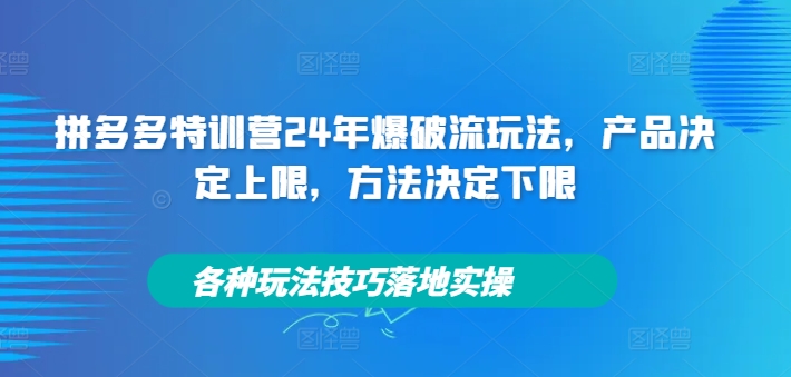 拼多多特训营24年爆破流玩法，产品决定上限，方法决定下限，各种玩法技巧落地实操-一点通资源网