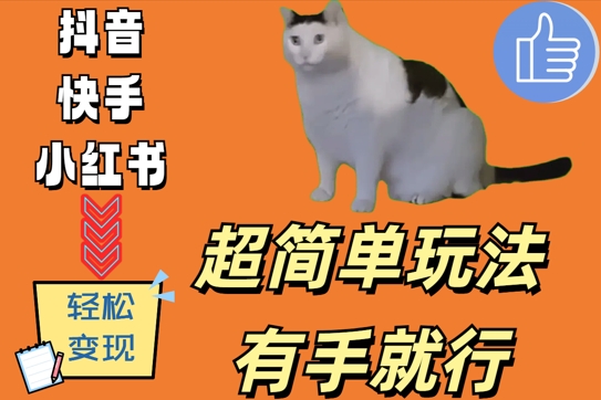 超简单玩法，有手就行，靠猫咪视频日入500+【揭秘】-一点通资源网