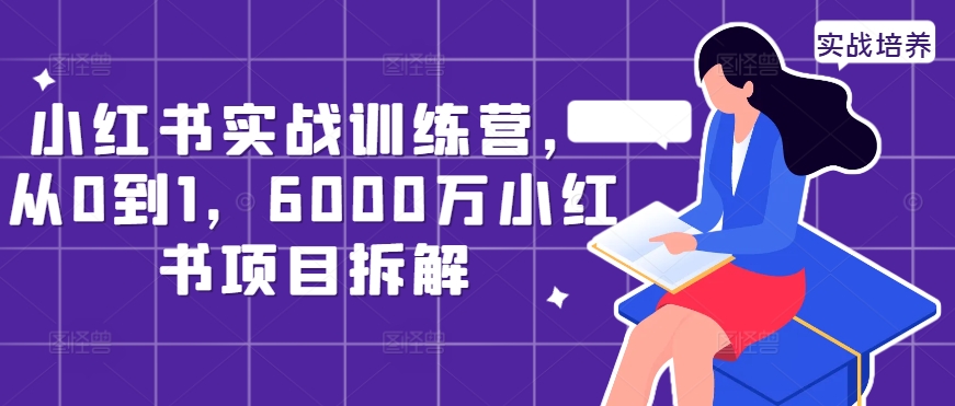 小红书实战训练营，从0到1，6000万小红书项目拆解-一点通资源网