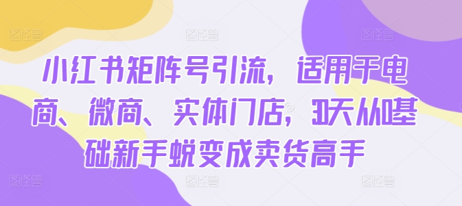 小红书矩阵号引流，适用于电商、微商、实体门店，30天从0基础新手蜕变成卖货高手-一点通资源网