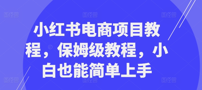 小红书电商项目教程，保姆级教程，小白也能简单上手-一点通资源网