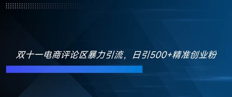双十一电商评论区暴力引流，日引500+精准创业粉【揭秘】-一点通资源网