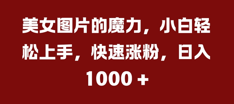 美女图片的魔力，小白轻松上手，快速涨粉，日入几张【揭秘】-一点通资源网