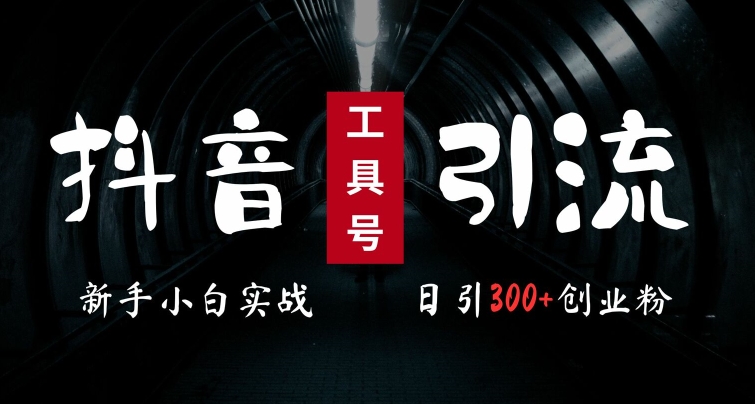 2024最新抖音工具号引流玩法，高效日引300+创业粉，当天变现5k，小白也可成为实战高手-一点通资源网