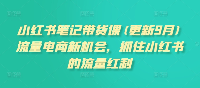 小红书笔记带货课(更新11月)流量电商新机会，抓住小红书的流量红利-一点通资源网