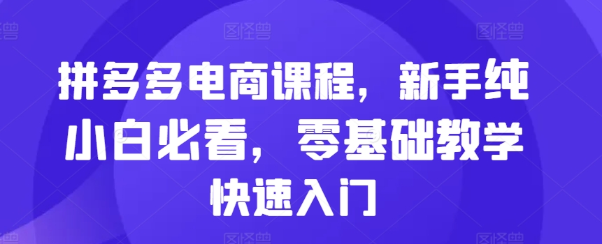 拼多多电商课程，新手纯小白必看，零基础教学快速入门-一点通资源网