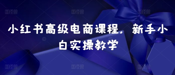 小红书高级电商课程，新手小白实操教学-一点通资源网
