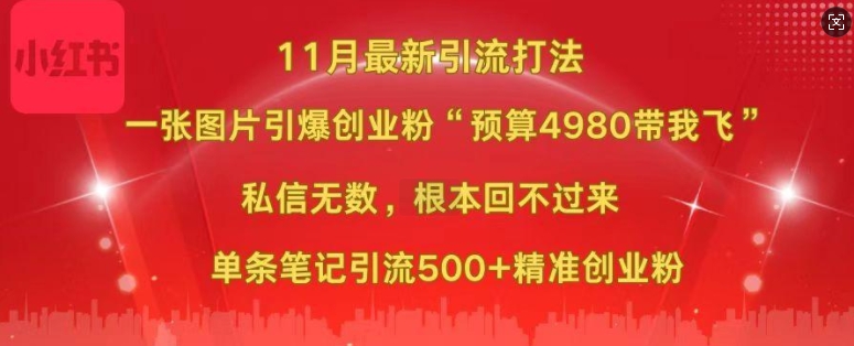 小红书11月最新图片打粉，一张图片引爆创业粉，“预算4980带我飞”，单条引流500+精准创业粉-一点通资源网