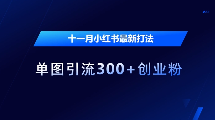 十一月小红书最新打法，单图引流300+创业粉【揭秘】-一点通资源网