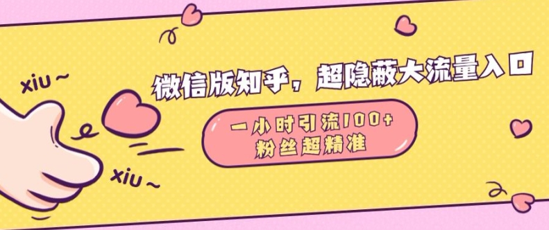 微信版知乎，超隐蔽流量入口1小时引流100人，粉丝质量超高【揭秘】-一点通资源网