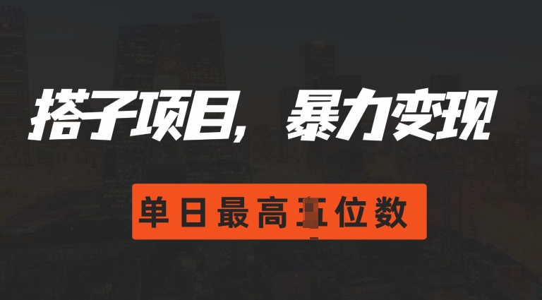 2024搭子玩法，0门槛，暴力变现，单日最高破四位数【揭秘】-一点通资源网