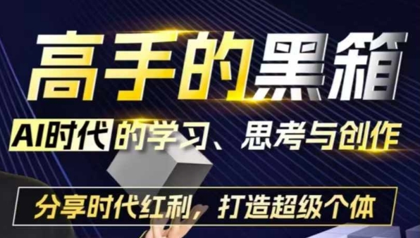 高手的黑箱：AI时代学习、思考与创作-分红时代红利，打造超级个体-一点通资源网