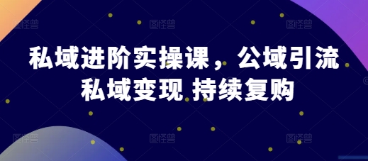 私域进阶实操课，公域引流 私域变现 持续复购-一点通资源网