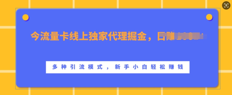 流量卡线上独家代理掘金，日入1k+ ，多种引流模式，新手小白轻松上手【揭秘】-一点通资源网