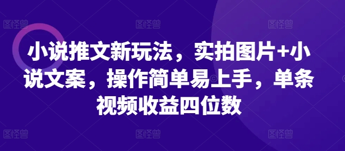 小说推文新玩法，实拍图片+小说文案，操作简单易上手，单条视频收益四位数-一点通资源网
