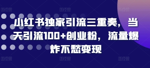 小红书独家引流三重奏，当天引流100+创业粉，流量爆炸不愁变现【揭秘】-一点通资源网