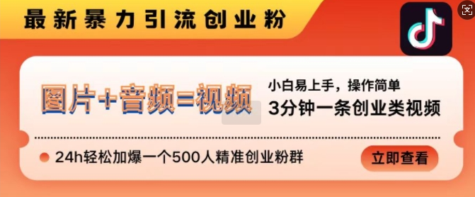 抖音最新暴力引流创业粉，3分钟一条创业类视频，24h轻松加爆一个500人精准创业粉群【揭秘】-一点通资源网