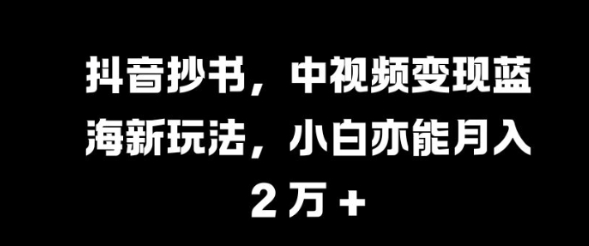 抖音抄书，中视频变现蓝海新玩法，小白亦能月入 过W【揭秘】-一点通资源网