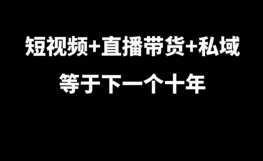 短视频+直播带货+私域等于下一个十年，大佬7年实战经验总结-一点通资源网