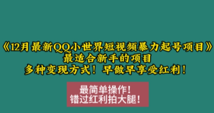 12月最新QQ小世界短视频暴力起号项目，最适合新手的项目，多种变现方式-一点通资源网