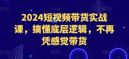 2024短视频带货实战课，搞懂底层逻辑，不再凭感觉带货-一点通资源网