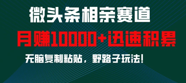 微头条相亲赛道，迅速积累，无脑复制粘贴，野路子玩法，月入1w-一点通资源网
