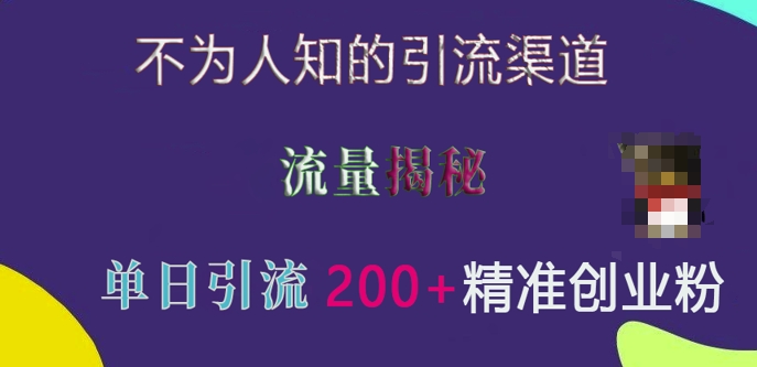 不为人知的引流渠道，流量揭秘，实测单日引流200+精准创业粉【揭秘】-一点通资源网