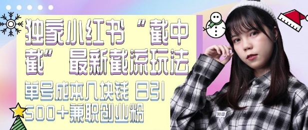 最新小红书截流玩法 独家截中截 单号成本几块钱 日引500+CY粉JZ粉-一点通资源网