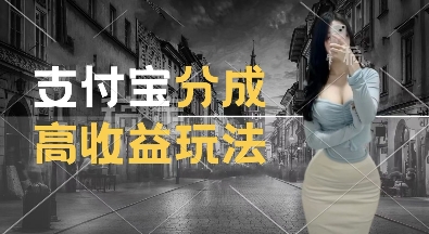 支付宝分成计划新玩法，利用交通事故视频，赚收益，轻松月入过W，操作简单【揭秘】-一点通资源网