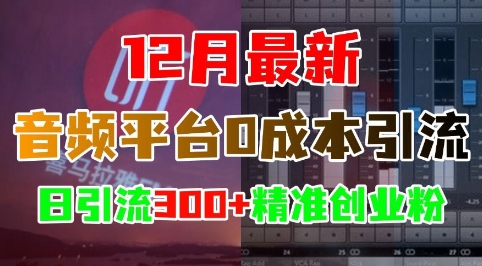 12月最新：音频平台0成本引流，日引流300+精准创业粉-一点通资源网