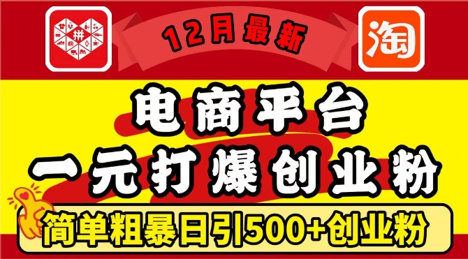 12月最新：电商平台1元打爆创业粉，简单粗暴日引500+精准创业粉，轻松月入过W【揭秘】-一点通资源网