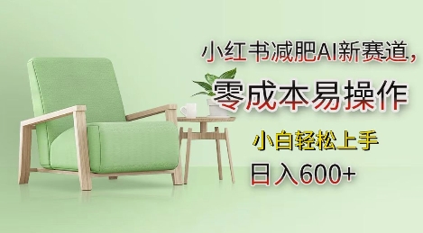 小红书减肥AI新赛道，零成本易操作，日入多张，小白轻松上手【揭秘】-一点通资源网