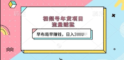 视频号年货项目，流量贼猛，早布局早挣钱，日入上k【揭秘】-一点通资源网