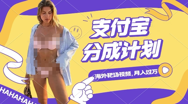 利用海外靶场射击视频，挣支付宝分成收益，轻松月入过W【揭秘】-一点通资源网