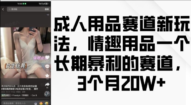 成人用品赛道新玩法，情趣用品一个长期暴利的赛道，3个月收益20个【揭秘】-一点通资源网