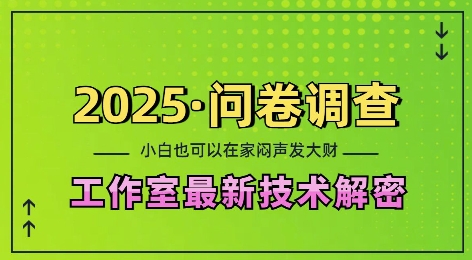 2025问卷调查最新工作室技术解密：一个人在家也可以闷声发大财，小白一天2张，可矩阵放大【揭秘】-一点通资源网