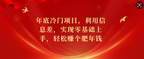 年底冷门项目，利用信息差，实现零基础上手，轻松赚个肥年钱【揭秘】-一点通资源网