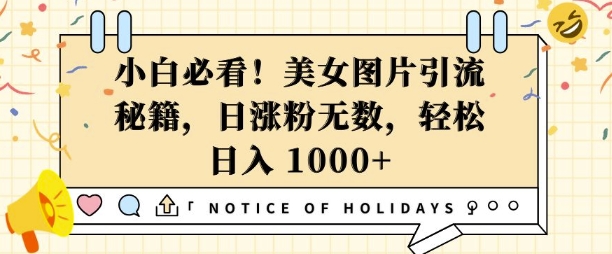 小白必看，美女图片引流秘籍，日涨粉无数，轻松日入几张【揭秘】-一点通资源网