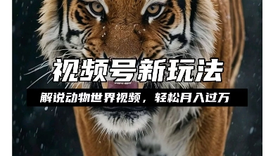 利用动物世界解说视频，赚分成计划收益，轻松月入过W，操作简单【揭秘】-一点通资源网