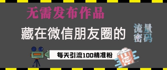 藏在微信朋友圈的流量密码，无需发布作品，单日引流100+精准创业粉【揭秘】-一点通资源网