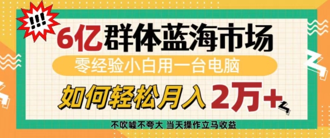 6亿群体蓝海市场，零经验小白用一台电脑，如何轻松月入过w【揭秘】-一点通资源网