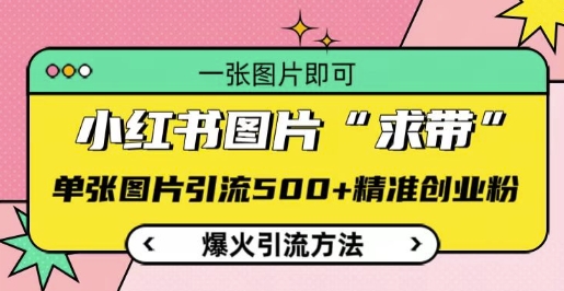 小红书图片‘求带’爆火引流法，单张图片引流500+精准创业粉【揭秘】-一点通资源网